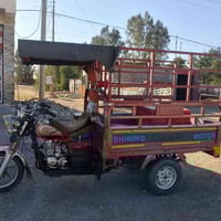 ستوته • موديل 2020 • مجال للشراي