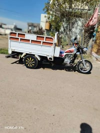 ستوته ام الطير • ٢٠٢٠ • اوراق اصلية