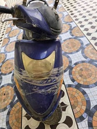 دولفين • شغالة • ٢٠٠