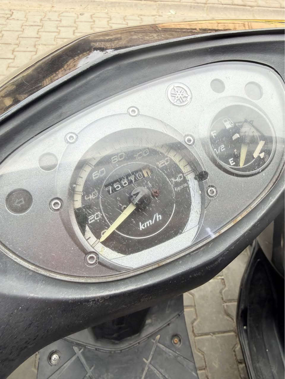 سكنس كوري نوزل 
ثعلب كابريتر 
السعر على 15 ورقه محال بسيط 
***********
مكاني بغداد فضوه عرب 
معرض كريم الربيعي بغداد, العراق
