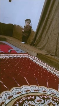 جلسه • طباخ وشافطه • غساله