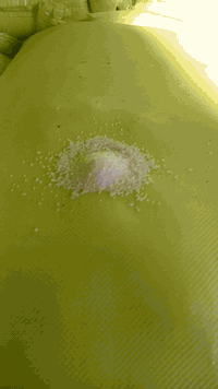 السلام عليكم
سماد يوريا عراقي درجه اولى 
محبب  بانسب الأسعار 
العنوان بابل الحمزه الغربي 
استفسار ***********
