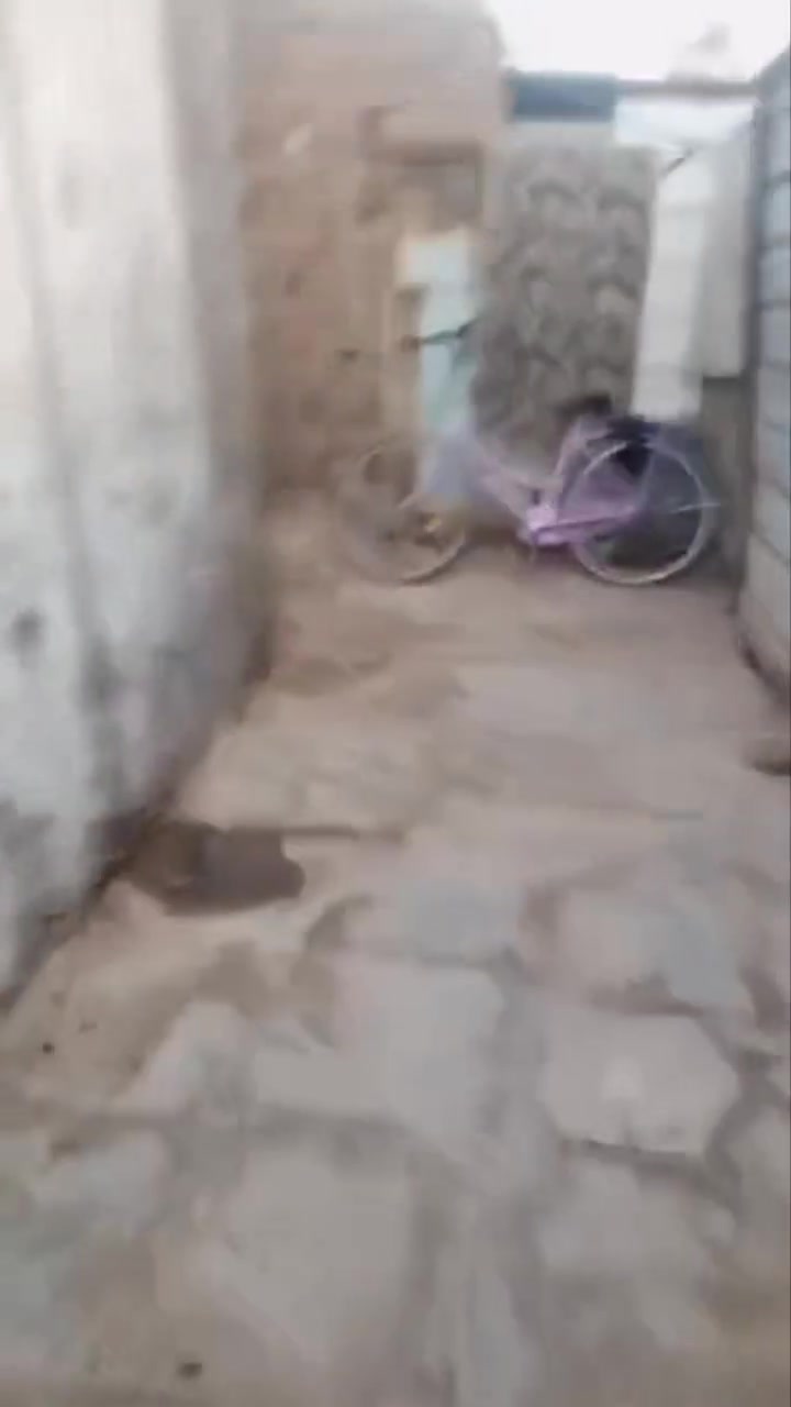 عندي بيت للبيع المكان الناصرية حي الشهداء قرب الطاقة الكهرباءعلى الشارع الرئيسي البيت تجاوز غرفتين ديوانه صالة مطبخ صحيات ساحة البيت بيه وصل معاملة مال البلدية البيت كله اعكاده والارضية سراميك انه ماخذه ب20 السعر 17مليون نهايته


**إذا كنت صاحب هذا الإعلان وتريد حذفه لأي سبب، رجاءا أرسل رسالة إلى الدعم الفني**