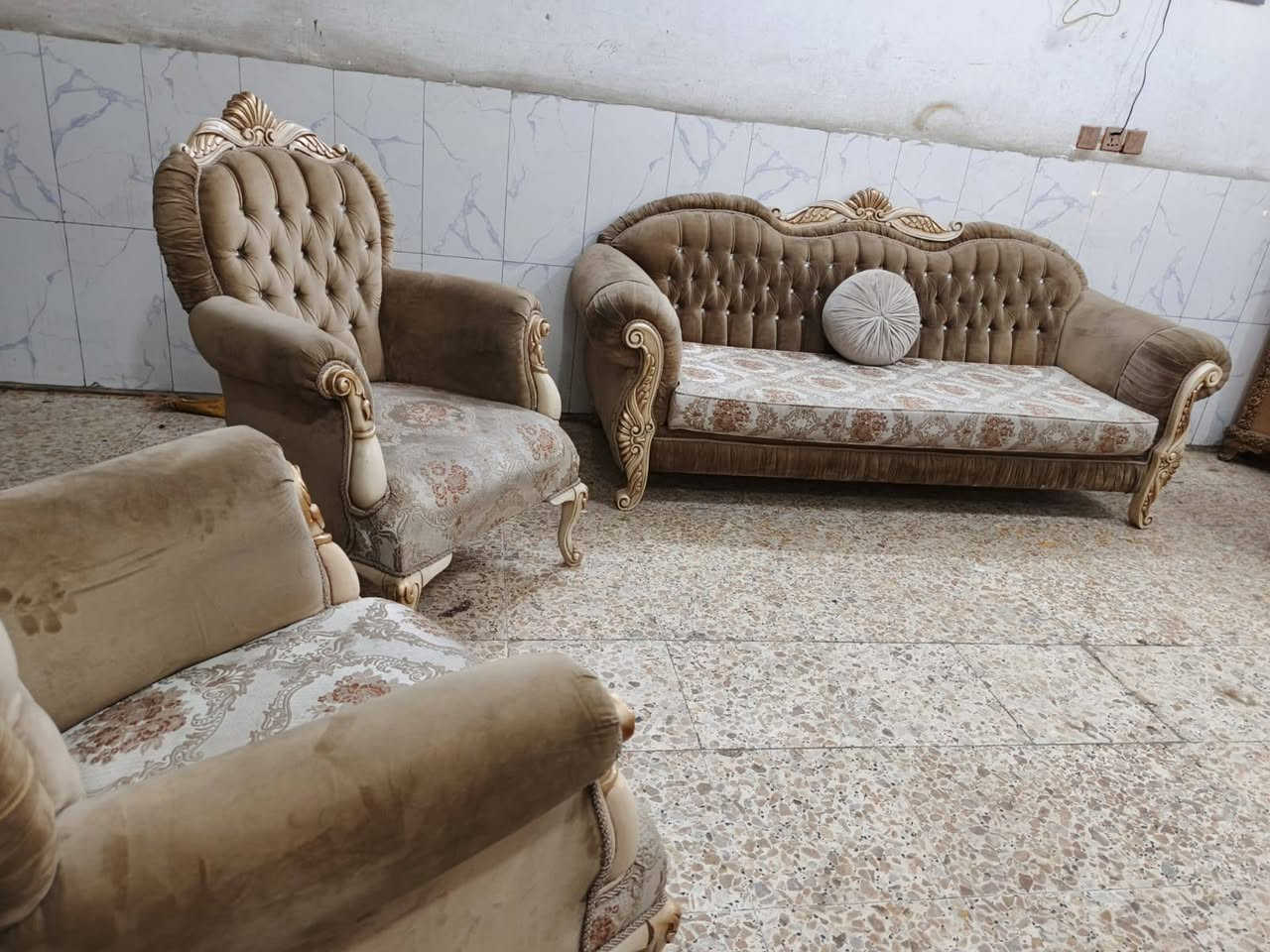 تخم للبيع الاستفسار عل واتساب اتصال ***********
