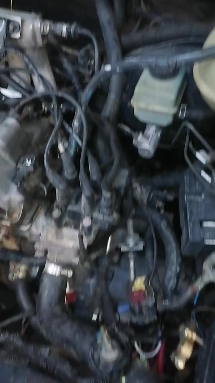 مكينه كايمه
كير شرط
وتفرعات كامله
السعر:500الف


**إذا كنت صاحب هذا الإعلان وتريد حذفه لأي سبب، رجاءا أرسل رسالة إلى الدعم الفني**