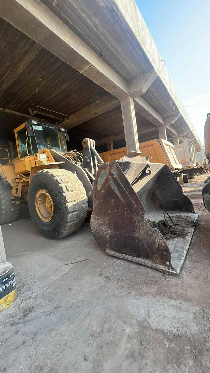 شوفل ڤاڵڤو موديل 2000 حه جم 150cگيرومه كينه به شه رت ئه كسل به شه رت


**إذا كنت صاحب هذا الإعلان وتريد حذفه لأي سبب، رجاءا أرسل رسالة إلى الدعم الفني**