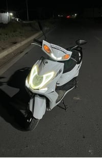سكنس لد • ٢٠٢٣ • سلف