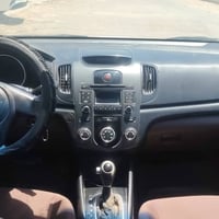 سيراتو • ٢٠١١ • اربيلي