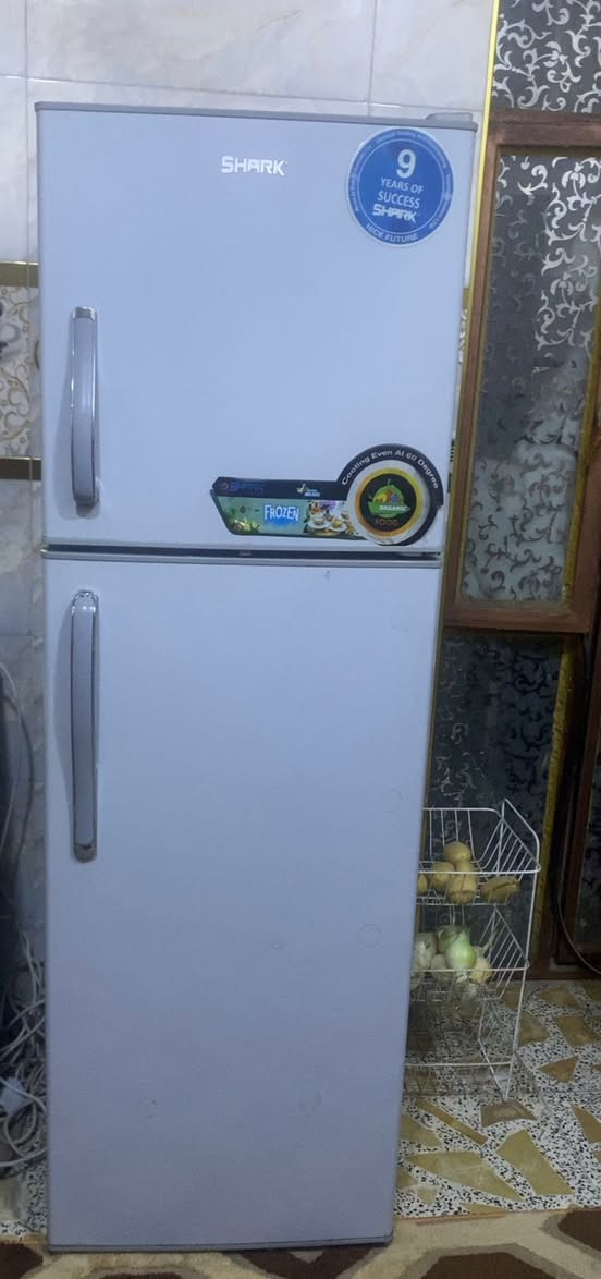 مكلفه ب النشر ثلاجة نظيفه جداً السعر 175


**إذا كنت صاحب هذا الإعلان وتريد حذفه لأي سبب، رجاءا أرسل رسالة إلى الدعم الفني**