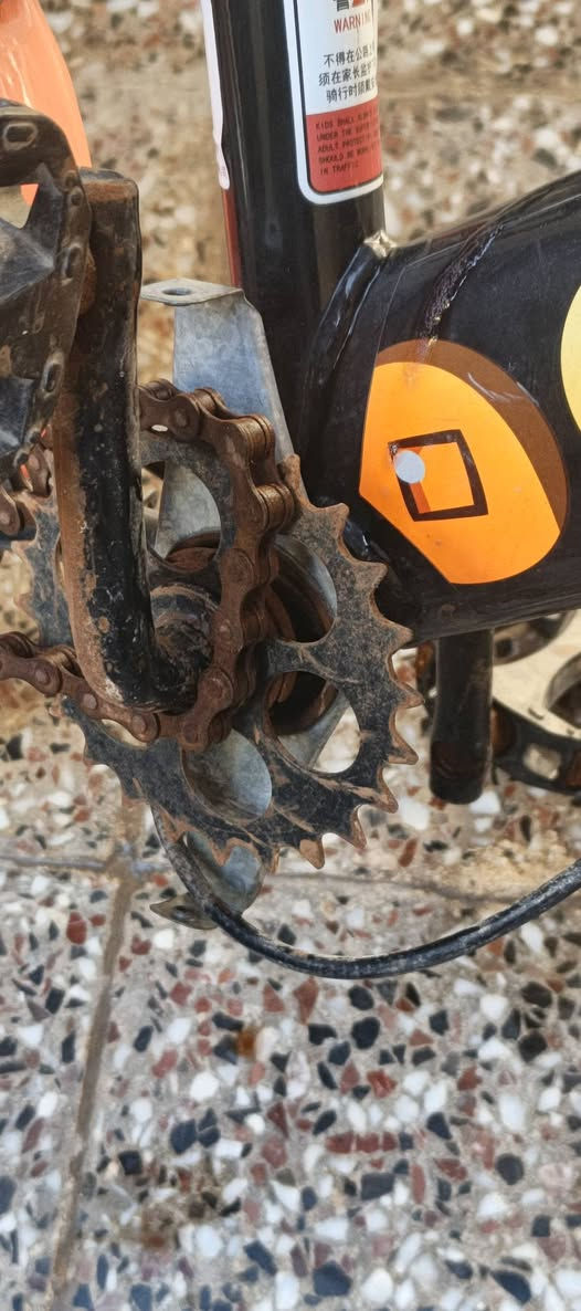 للبيع
بايسكل حجم صغير مال اطفال زغار نضيف مثل مواضح بالصورة 
احتياجاتة بس صچم مكينة الي موجودة بالصور و زنجيل بس ذني 
التايرات بس نفخ مابيهن شي الچوب ممتأكد بس شغلتة بصيطة الويالة مابيهن شي ابد
تاخذة منا تسوي ذني ميكلفن 7 الالف وتنطي لوليدك وتفرحة 
سعرة 20 الف وبي مجال 
للتواصل واتساب 
*********** 
أو مراسلة الحساب
