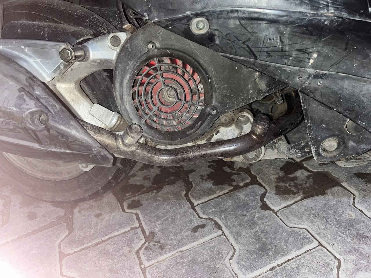 صالنصه ثعلب كعده بلاديه ام الحساس واقيه مضلعه صجميه ستيل قطره لحيم مابيها سعر 130 وبيها مجال رقم***********
