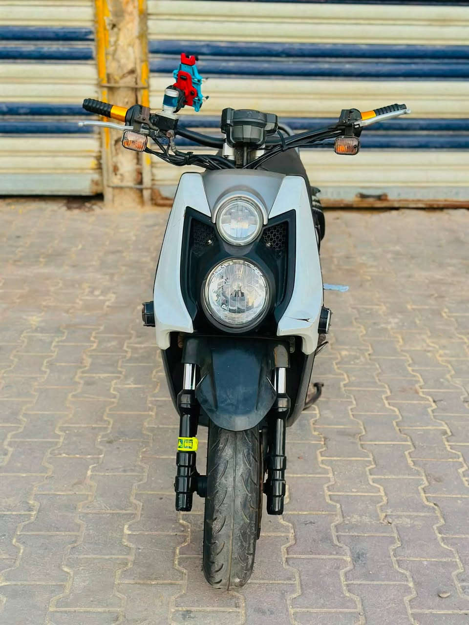 سلام عليكم شباب سكنس جبلي كفاله عامه البيع  صاله 3شهر من نزلت من رمبه جيب وياك فيتر تعال فحص مكاني بغداد مدينه الصدر رقم تلفون (***********) السعر خاص
