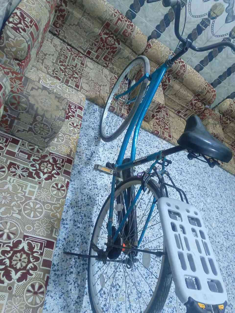 السلام عليكم باسكل للبيع باسكل اصلي السعر80 وبي مجال


**إذا كنت صاحب هذا الإعلان وتريد حذفه لأي سبب، رجاءا أرسل رسالة إلى الدعم الفني**