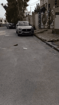 سايدين البحرين • بستان ملك صرف • ٢٠٠م واجهة ١٠م