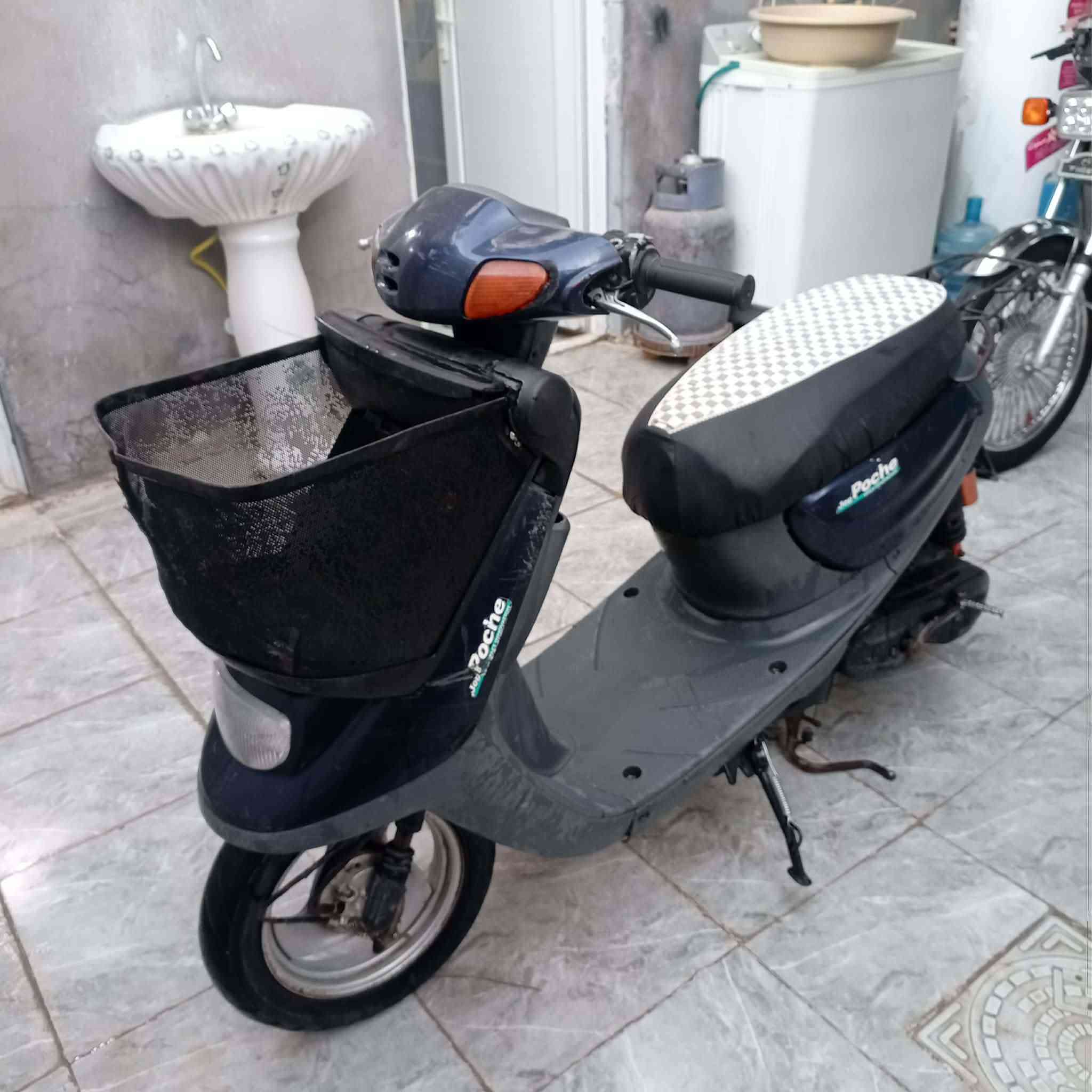 ذبانه منغولي   سعره 👈400👉مكاني ابو صخير راقمي ***********
