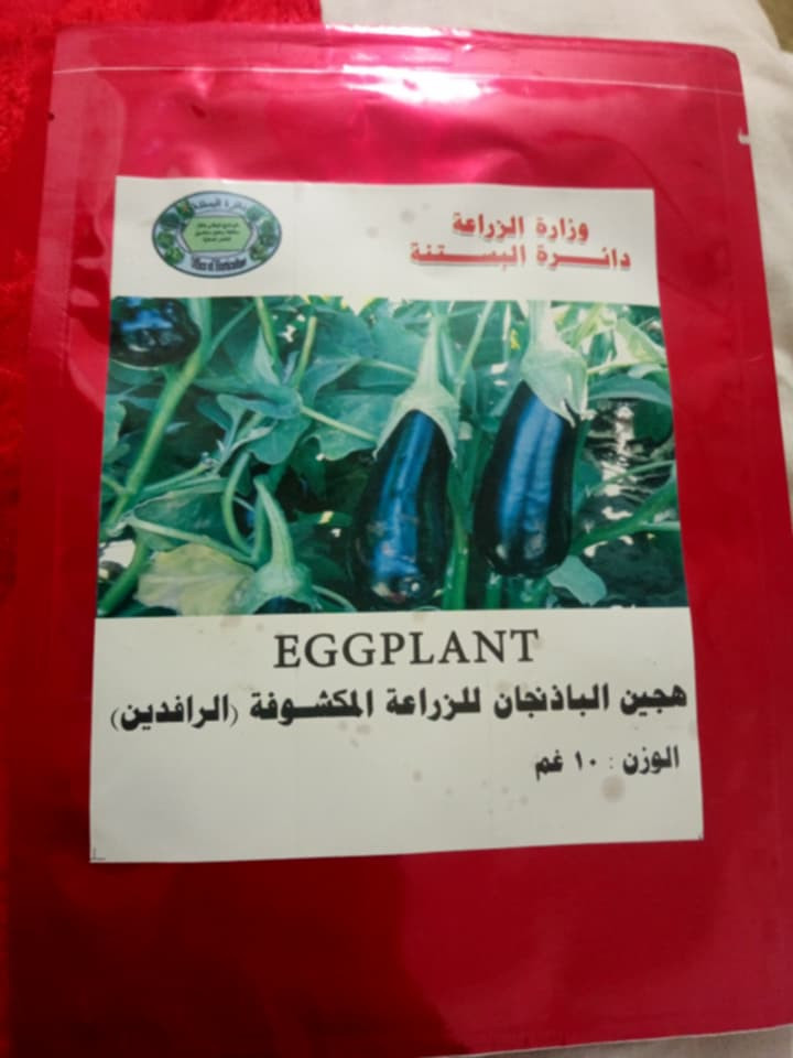 السلام عليكم
يوجد شتل بيذنجان للبيع
توليد (الرافدين)
المكان قريه العباس والنجفيه
لتواصل ***********
