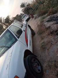 مداور • رقم • ذي قار الشطره