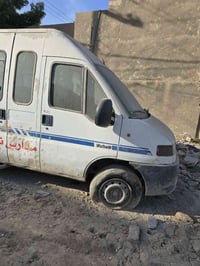 بوكسر • كشنات كوستر • طويريج