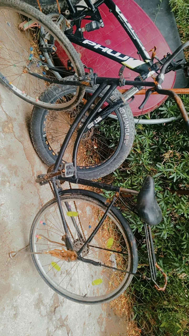 سلام عليكم 3بايسكلات للبيع كلمن وسعره البناتي40 
والدبابه 40وثاني 40مكاني بوب الشام ***********رقمي فقط وات ساب
