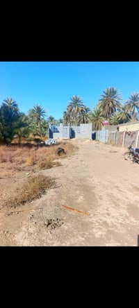 ٥٠٠م • طابو زراعي • سند ٢٥