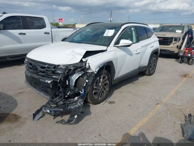 ⭐️ #شركه_العقبه_للمزادات ⭐️
🕔موعد المزاد:  10 / 6 / 2026 
🚗 السيارة: 2025 Hyundai Tucson, Limited
⚠️ الضرر الرئيسي:   امامي
↔️المسافة:  5.000 ميل
🔲 المحرك:  2.5L, I4
0-44707234
,
لاتوجد اضافه على السيارات الهايبرد 
اسعار النقل مخفضة لاتوجد اي اضافات بعد الاتفاق
شحن الى جميع المنافذ الحدودية 
  تقرير كارفاكس مجاني
للمزيد من المعلومات يرجى الحضور الساعة الرابعة مساءآ الى مقر الشركة الكائن في بغداد- حي البنوك شارع الجسر مجاور مطعم طاووق البنوك مقابل مجمع اليزن 
للاستفسار المبيعات⬇️
📞 ***********
📞 ***********
‏ ‭***********‬📞
📞 ***********
.
#fyp 
#شركه_العقبه_للمزادات
#copart #iaai #سيارات #مزاد #كيا #هونداي #جيب #نيسان #شحن #تخليص #تعقيب #ام_قصر #العقبة #جبل_علي #شراء_سيارات #كوبارت #منهايم #تصليح_سيارات2026 #مزادات #للبيع
#موديل2024  #موديل2025 #موديل2026
