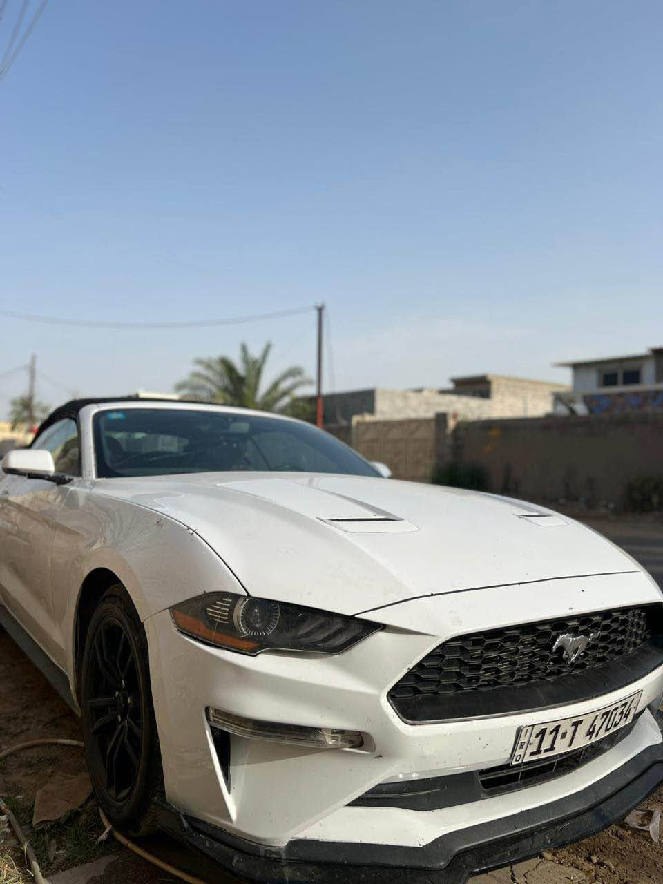 موستنك 2020 بريميوم للبيع مصبوغ حزام مكاني بغداد حي الجامعه بغداد, العراق


**إذا كنت صاحب هذا الإعلان وتريد حذفه لأي سبب، رجاءا أرسل رسالة إلى الدعم الفني**