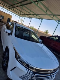 بيوايدي دستروي • ٢٠٢٥ • الأنبار