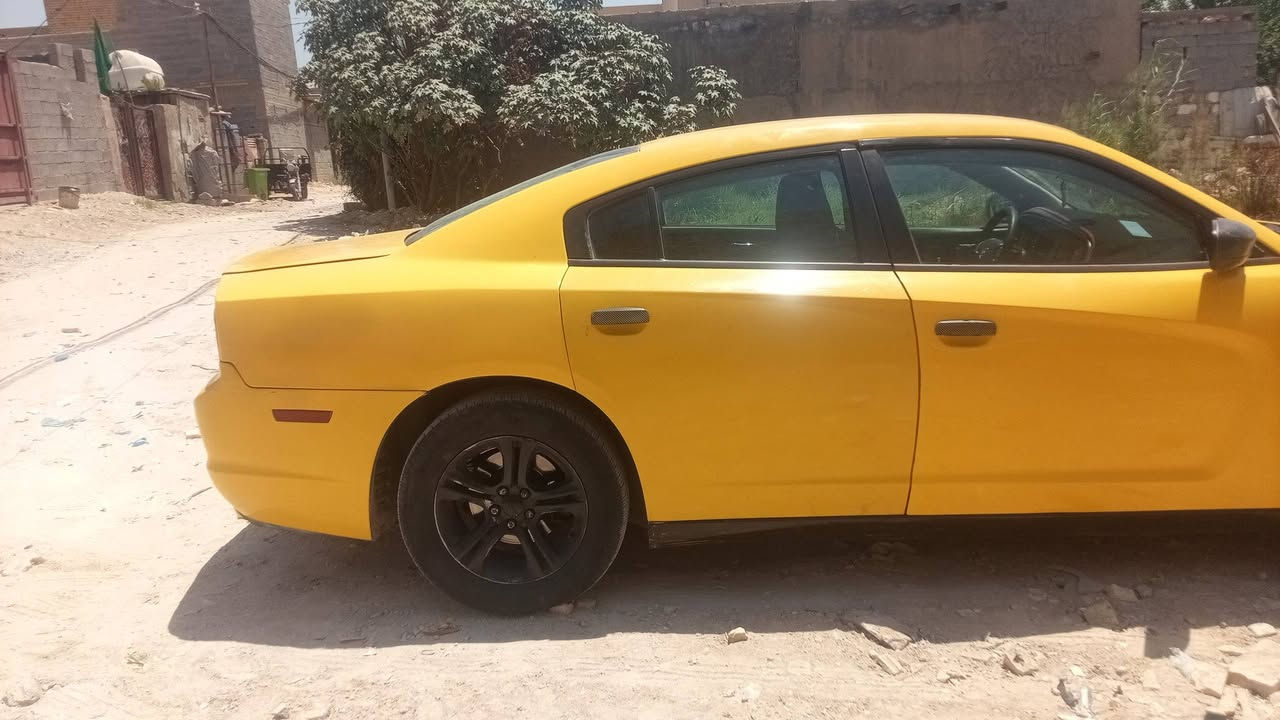 تفاصيل داخل الصور شراي يدالل
