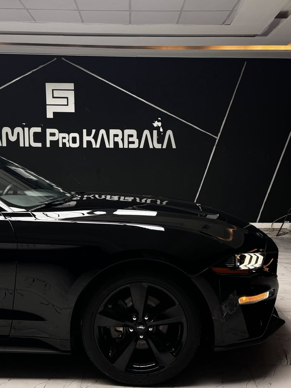 السلام عليكم
للبيع فقط ‼️.

موستنك ايكو بوست٢٠٢٢ مرقم بغداد باسمي🐎مكانهه كربلاء🔴

السياره حادثهه بالمنشور بدون دواخل بدون ايرباك ليبل واحد السياره بدون نقص نهائيا كير مكينه حداديه كلهه كفاله على ايدي فقط اني كاصهه

المواصفات

🔴شاشه كبيره

🔴رادار امامي

🔴كاميرا خلفيه

🔴كشنات مخمل

🔴تحكمات ستيرن

🔴نقطه عمياء

🔴تايرات جدد

🔴باتري جديد

وباقي مواصفات الموستنك المعروفه

السياره مبرمجه يم ايمن كاليبرا برمجه مراوح +استخدام يومي 

🔴السعر 185$وبيهه مجال للشراي وهذا رقمي ومااقطع سعر رجائا تعال شوف السياره وتدلل  

***********
