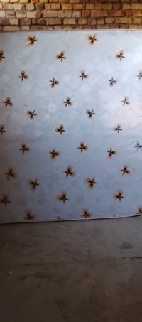 دوشك جربايه تركية • نفرين • نظيف