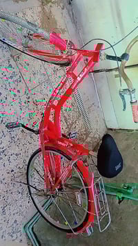 بيسكل • بناتي