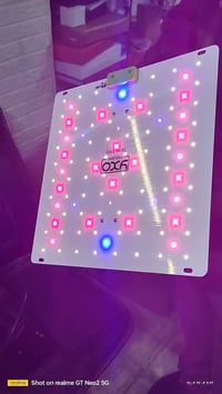 اناره نباتات • ٦٥ واط • YXO