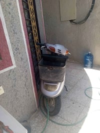 بلادي • كربلاء • حي عسكري
