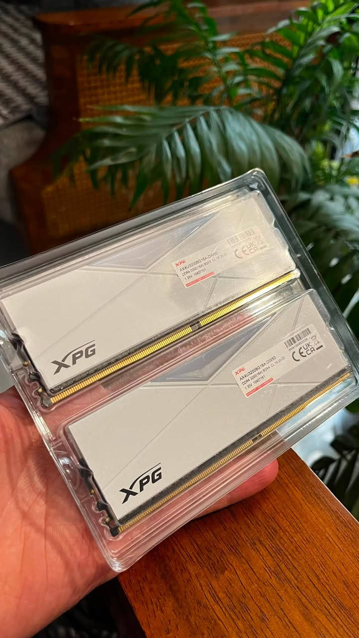 السلام عليكم
رامات XPG ddr4 3200mhz cl16 RGB white D50 2x8Gb للبيع

القطع كلش نظيفة بدون اي خدوش مع الكارتون ضمان 6 اشهر 

سعر القطع حتكون 150 الف 💵

متوفر توصيل 🚚 لجميع محافظات العراق

العنوان 📍بغداد/حي الجهاد-مركز غياث ستور 

للاستفسار

اتصال ***********

واتساب 🍀 ***********
