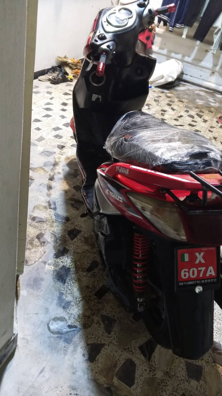 سلام عليكم سكنس فحل نوزل دراجه مكفوله كهربائيات كله شغال سلف هندر أي نقص مابيها محركها كلش نضيف فقط واير كيلو متر سعر 550 وبيه مجال حك جيه بغداد شعله الرقم *********** بي واتساب
