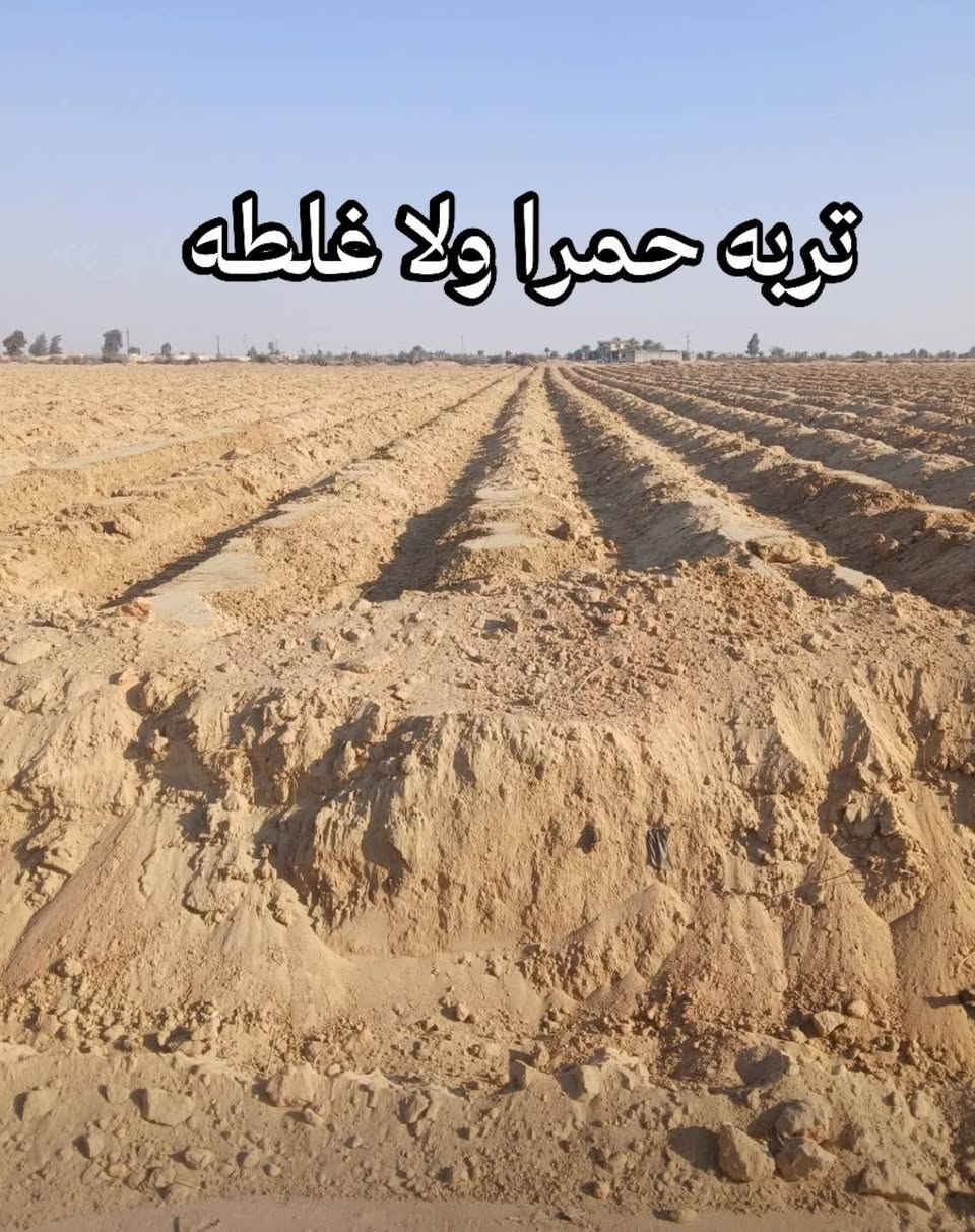بسم الله ماشاء الله 
لسرعه البيع 
تربه حمرا ولا غلطه 
قطعت ارض علي طريق الدولي العلمين 
20فدان ملك نهائي كهرباء
 وفيهم بير  
الارض جنب كرته الدولي العلمين 
كيلو من الكرته للارض 
 ومن طريق مصر اسكندريه الصحراوي 2كيلو 
السعر ممتاز جداا 🔥
للاستفسار 01228093109


**إذا كنت صاحب هذا الإعلان وتريد حذفه لأي سبب، رجاءا أرسل رسالة إلى الدعم الفني**