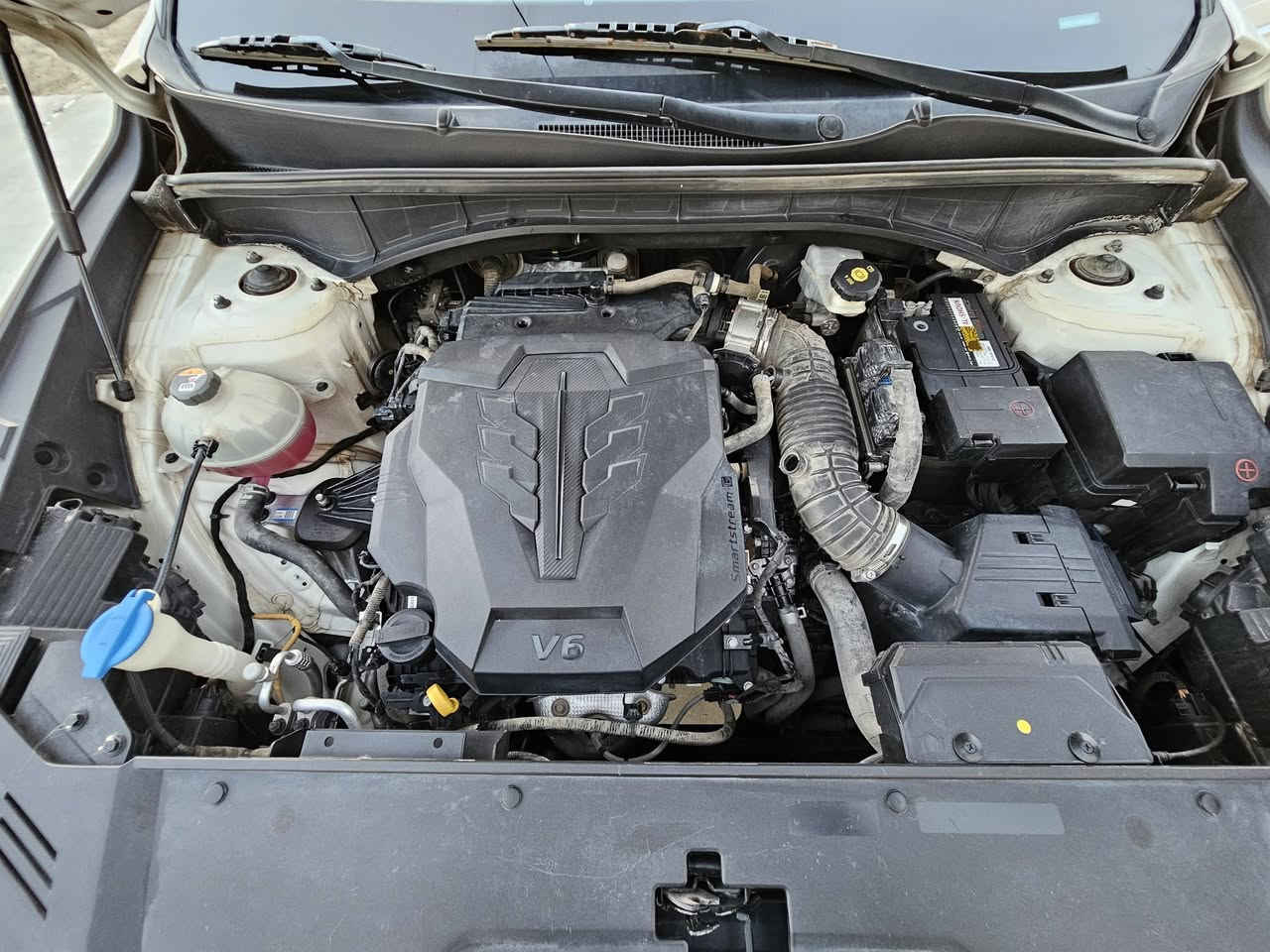 سلام عليكم
للبيع 

كيا سورنتو موديل ٢٠٢١ خليجي 

رقم بغداد دولي شرط التحويل

السنوية باسمي ومستعد احول ثاني يوم

ماشية اقل 99000 كيلو

محرك ستة سلندر. ٦ سلندر

نص فول 

بصمة

كشنات كهرباء

سبع راكب

تايرات نظيفة جدا

باتري مبدل جديد 

وياها بصمتين 

صندوك كهرباء 

بردات خلفيه

مري شفط

حساسات امامية وخلفية

تشغيل عن بعد 

شاحن واير ليس 

كامرة خلفية

كشنات جلد 

السعر  257 وبيهة مجال حك الجية 

مكان السياره بابل الحلة قضاء القاسم

سياره بدون صبغ بيها ملاحظات فقط 

بيها بارد بالباب بصف السائق والباب الخلفي كذلك

كل التفاصيل موجودة بالسونار

اتصل وحياك الله رقم الموبايل ***********

واتساب  ***********
