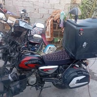 بوكسر21 • شغاله • لوحه