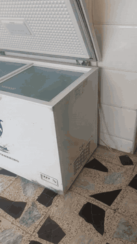 مجمدة شغالة حجم وسط البيع سعر ٨٠


**إذا كنت صاحب هذا الإعلان وتريد حذفه لأي سبب، رجاءا أرسل رسالة إلى الدعم الفني**