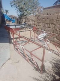 محجل • فول • بيجي المزرعة