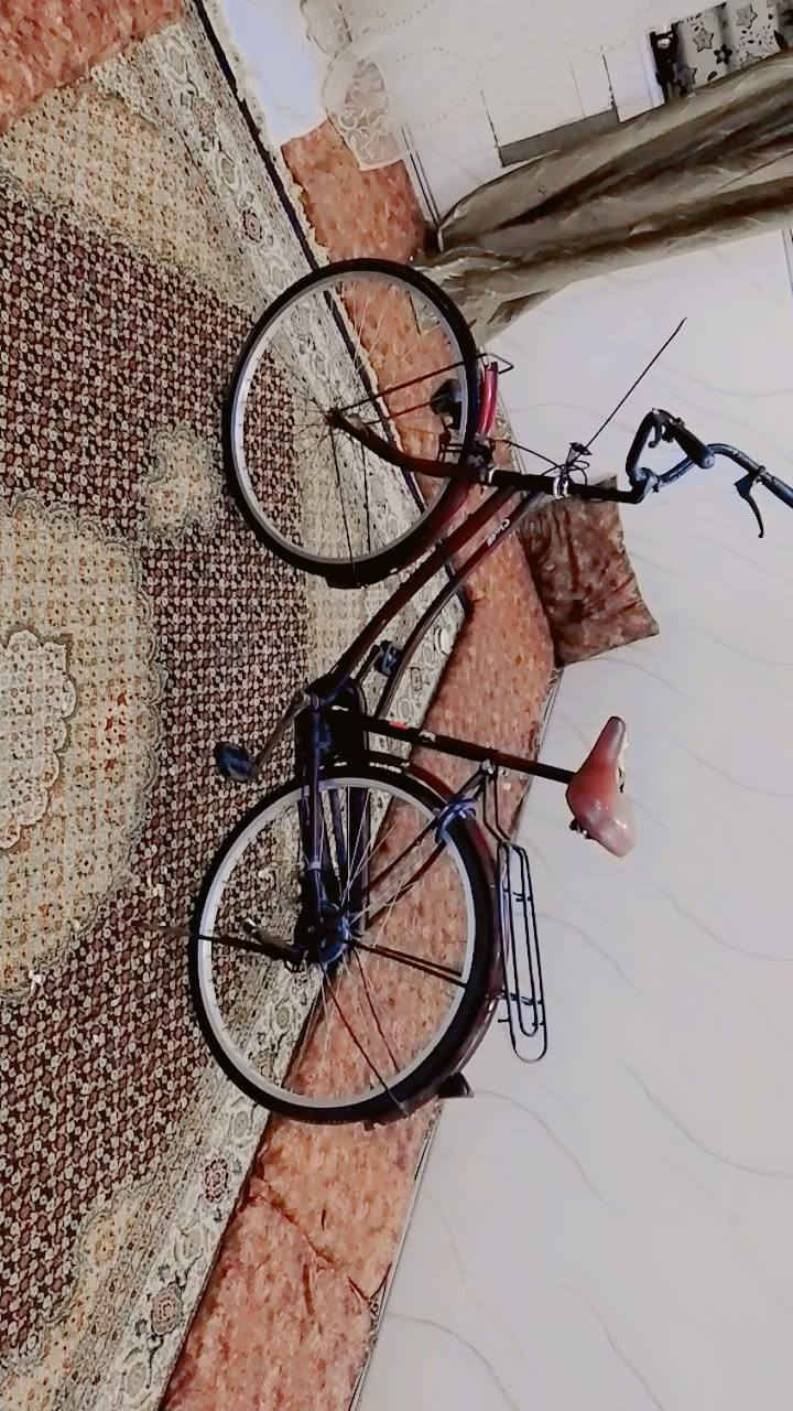 سلام عليكم من رخصة الادمن باسكل بطه للبيع الون ماروني باسكل نضيف عوزه ترتيبات موديل 2011  المكان النجف الاشرف السعر  (65) بي مجال ***********
