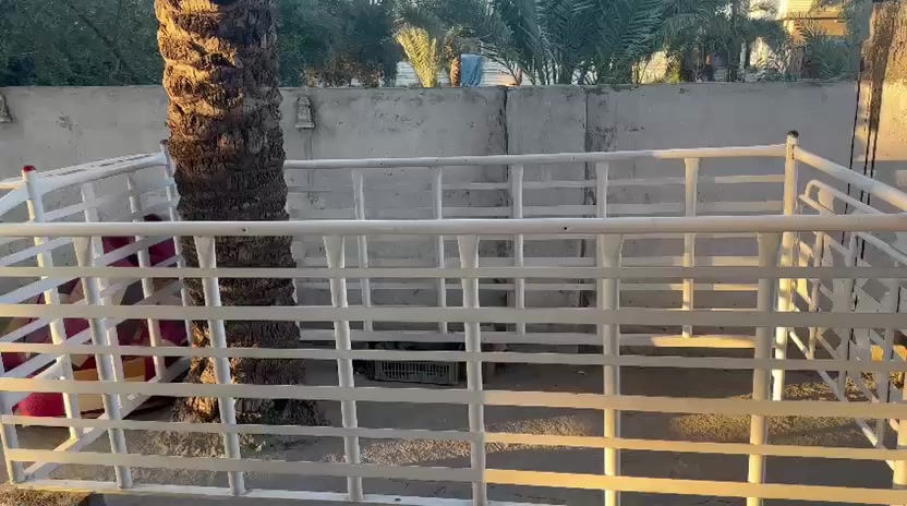 محجر كيه فحل للبيع
مكان بغداد الدوره السعر 400 الف

***********
