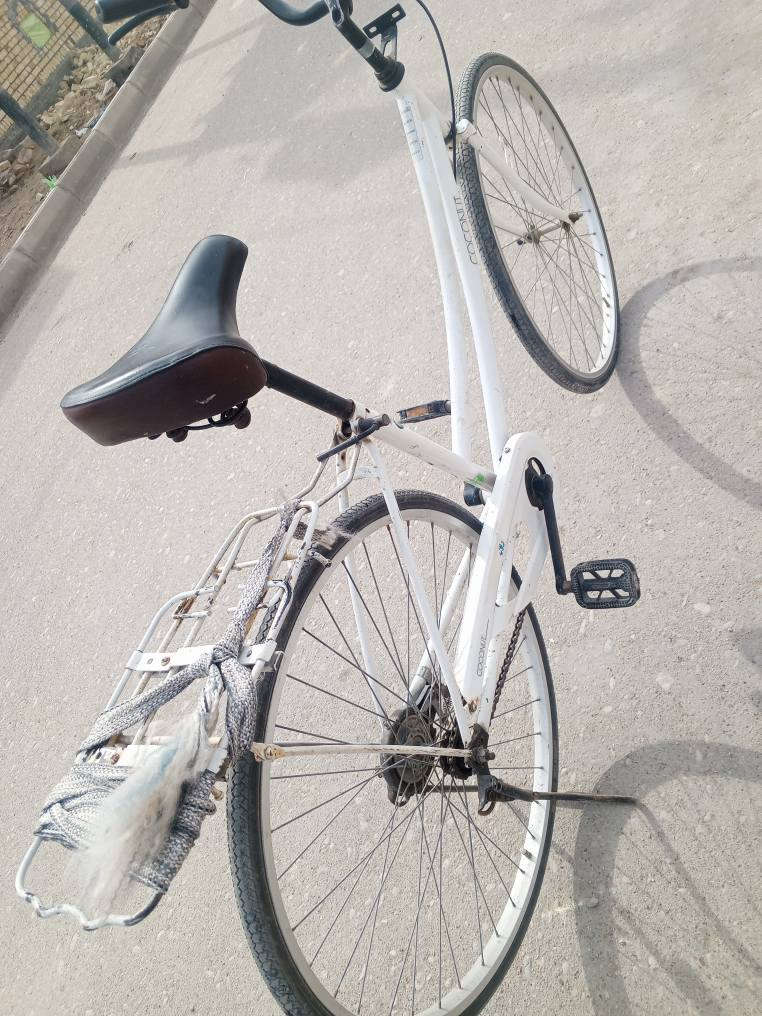 سلام عليكم شباب بايسكل للبيع سعر 150. وبي مجال عنوان العبجيه قرب مدرسه شهداء الطف  الرقم ***********
