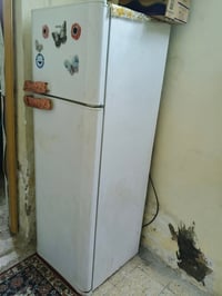 فستل • حجم 18 • الحسينيه الراشديه