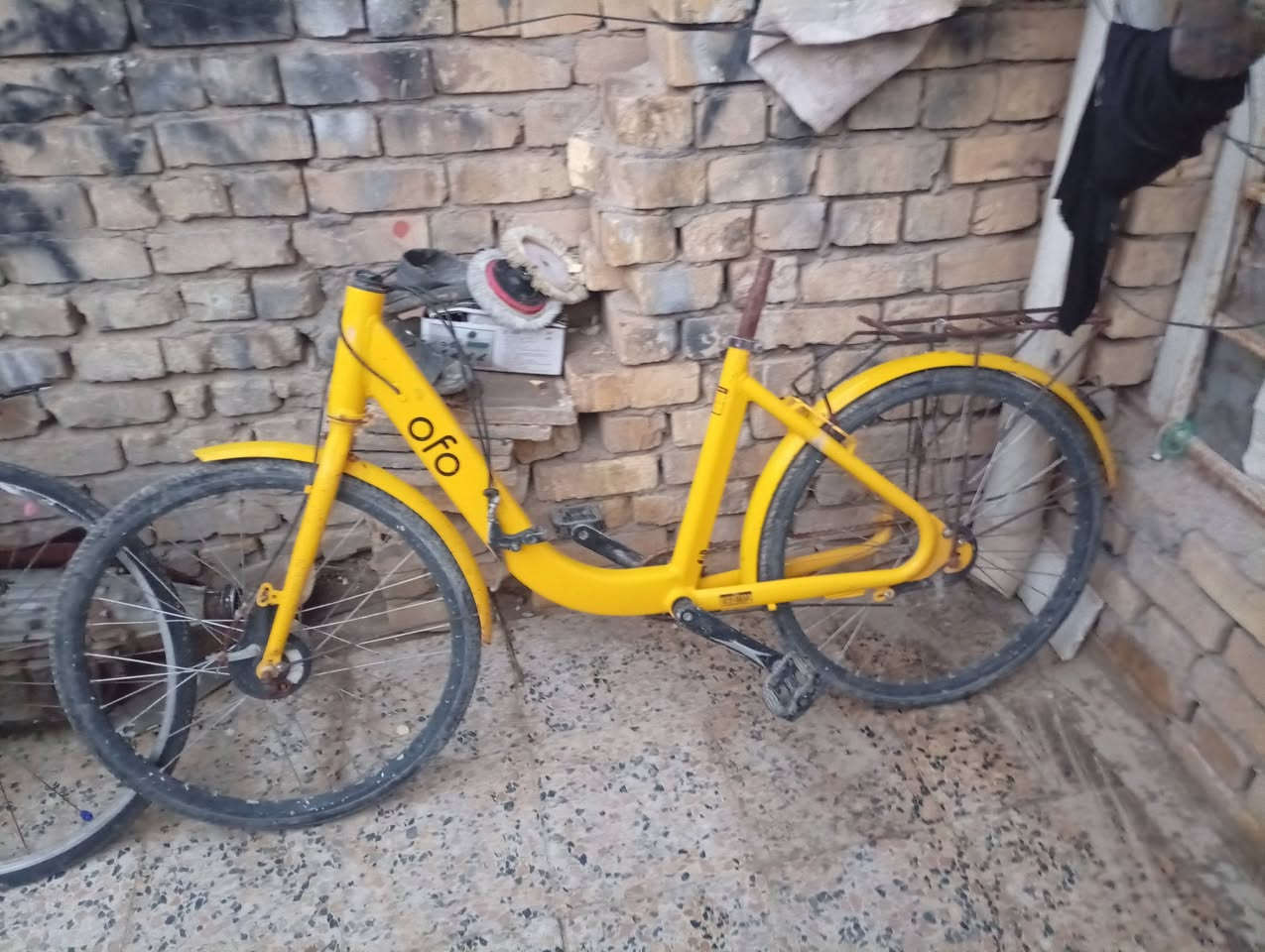 للبيع رصاصي عوزه نفخ وترتيب لاصفر ستيرن 100ثنينهن ***********
