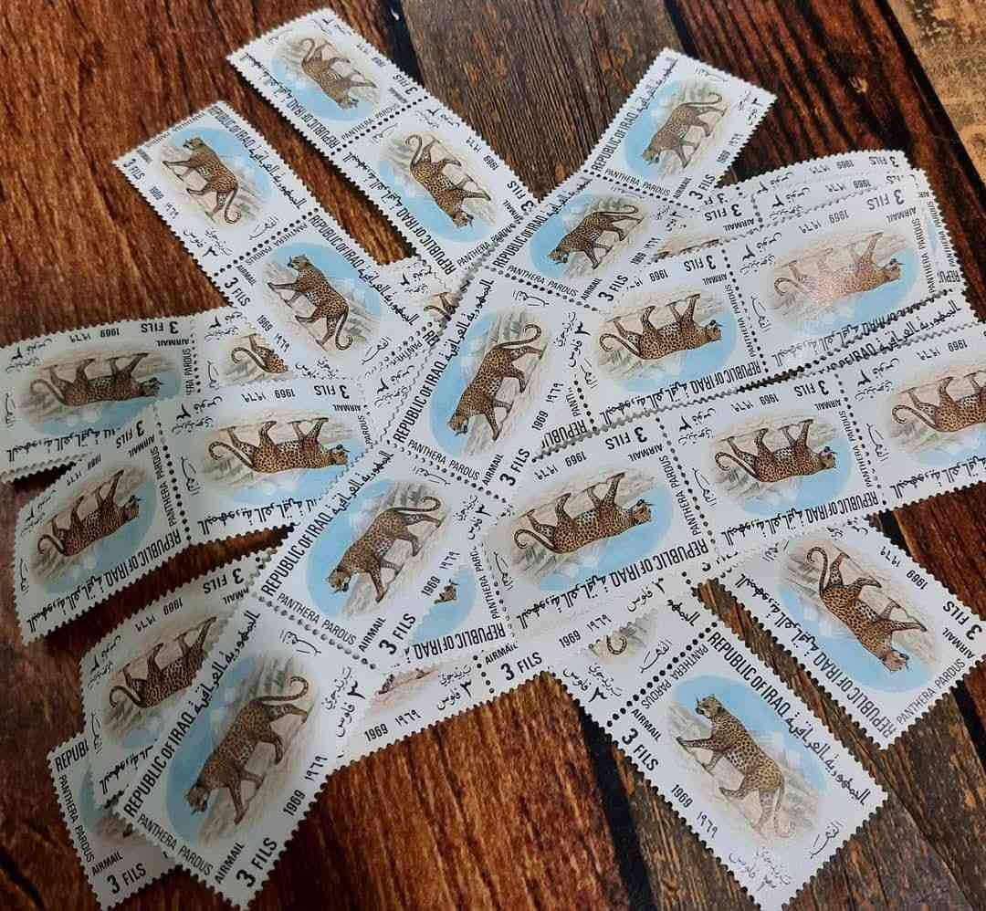 متوفر سترب خماسي منت ب ١ ألف .


**إذا كنت صاحب هذا الإعلان وتريد حذفه لأي سبب، رجاءا أرسل رسالة إلى الدعم الفني**