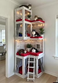 ناونيشان سليماني 07701081419