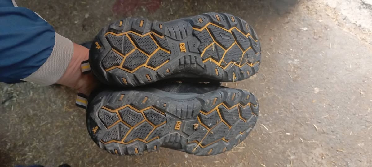 حذاء سلامة قياس 43
نوع كات اصلي سعره 25الف
مرة واحدة ملبوس فقط


**إذا كنت صاحب هذا الإعلان وتريد حذفه لأي سبب، رجاءا أرسل رسالة إلى الدعم الفني**