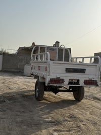 ستوتة • تعمير ٢٠٢٥ • أوراق