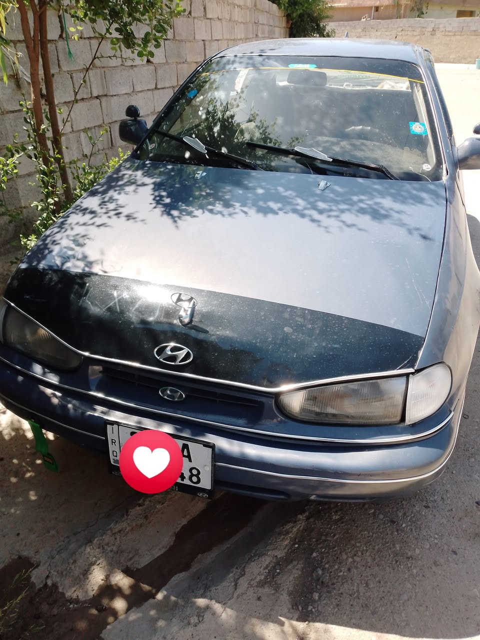 النتره دمعه ٩٣ للبيع او مراوس سنويه٢٩ رقم انكليزي شرط التحويل السعر ٢٥ بيهه مجال ***********  ديالى المقدادية ناحية الوجهية
